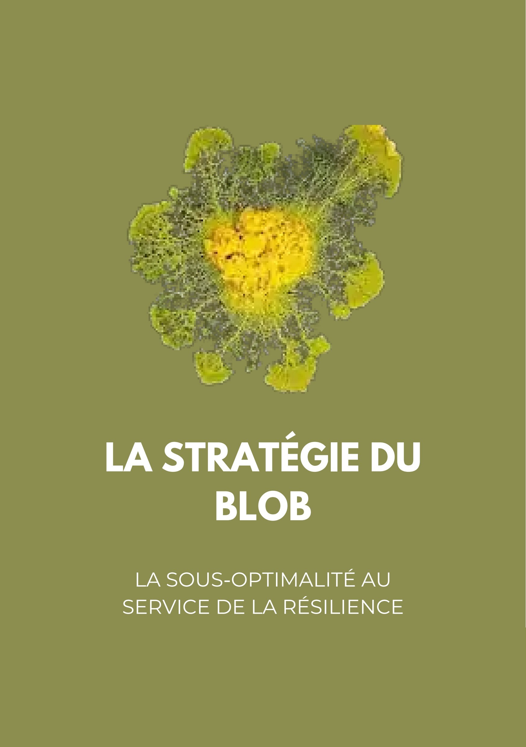 LA STRATÉGIE DU BLOB