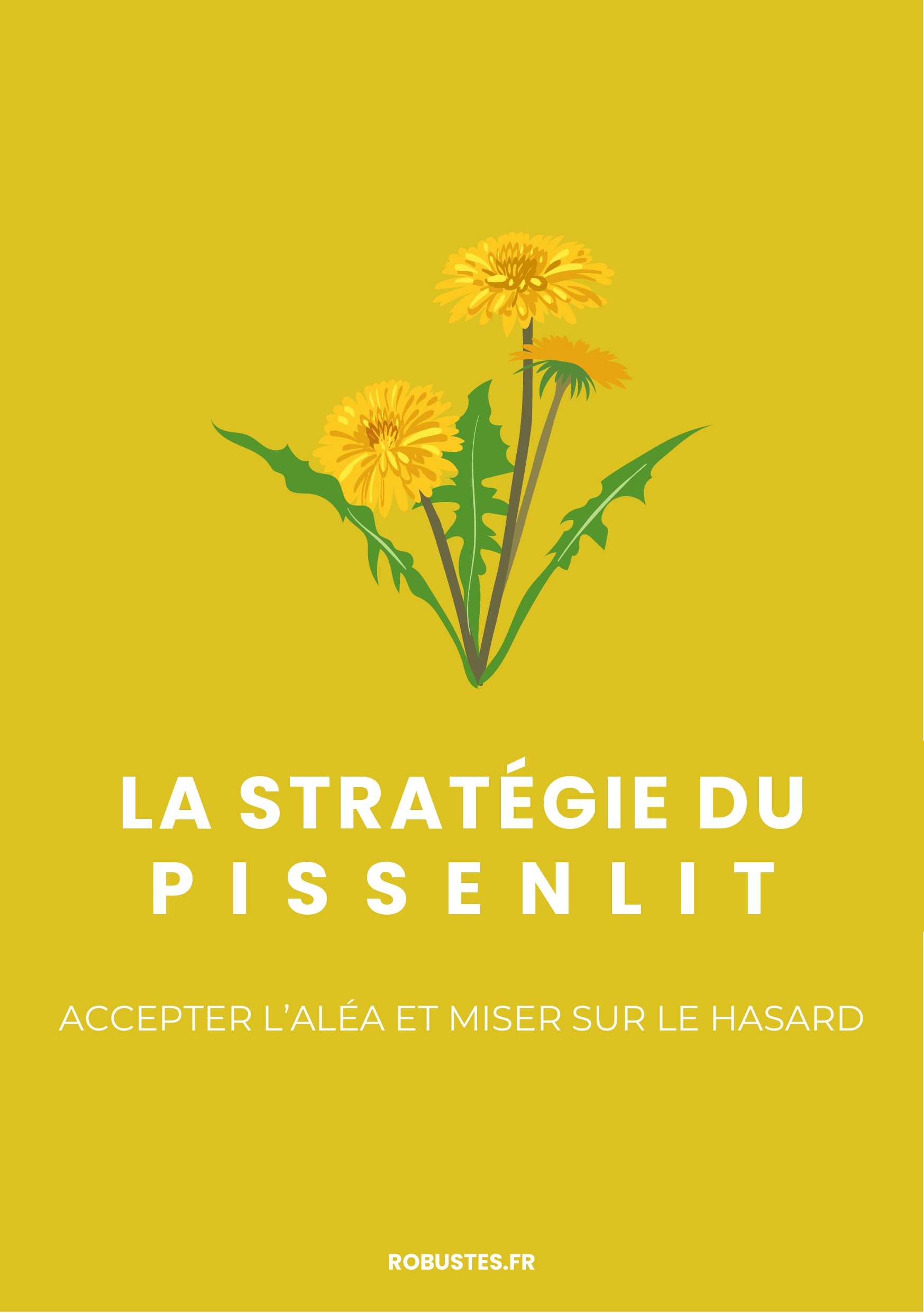 Carte Pissenlit de l’Atelier de la Robustesse
